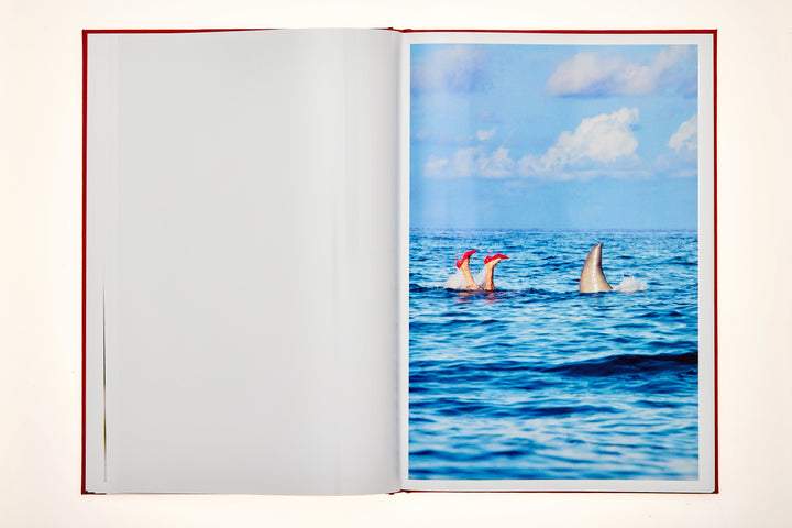 FAENA By Tony Kelly – Limited Edition Fine Art Book